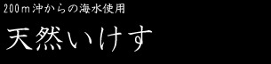 天然いけす